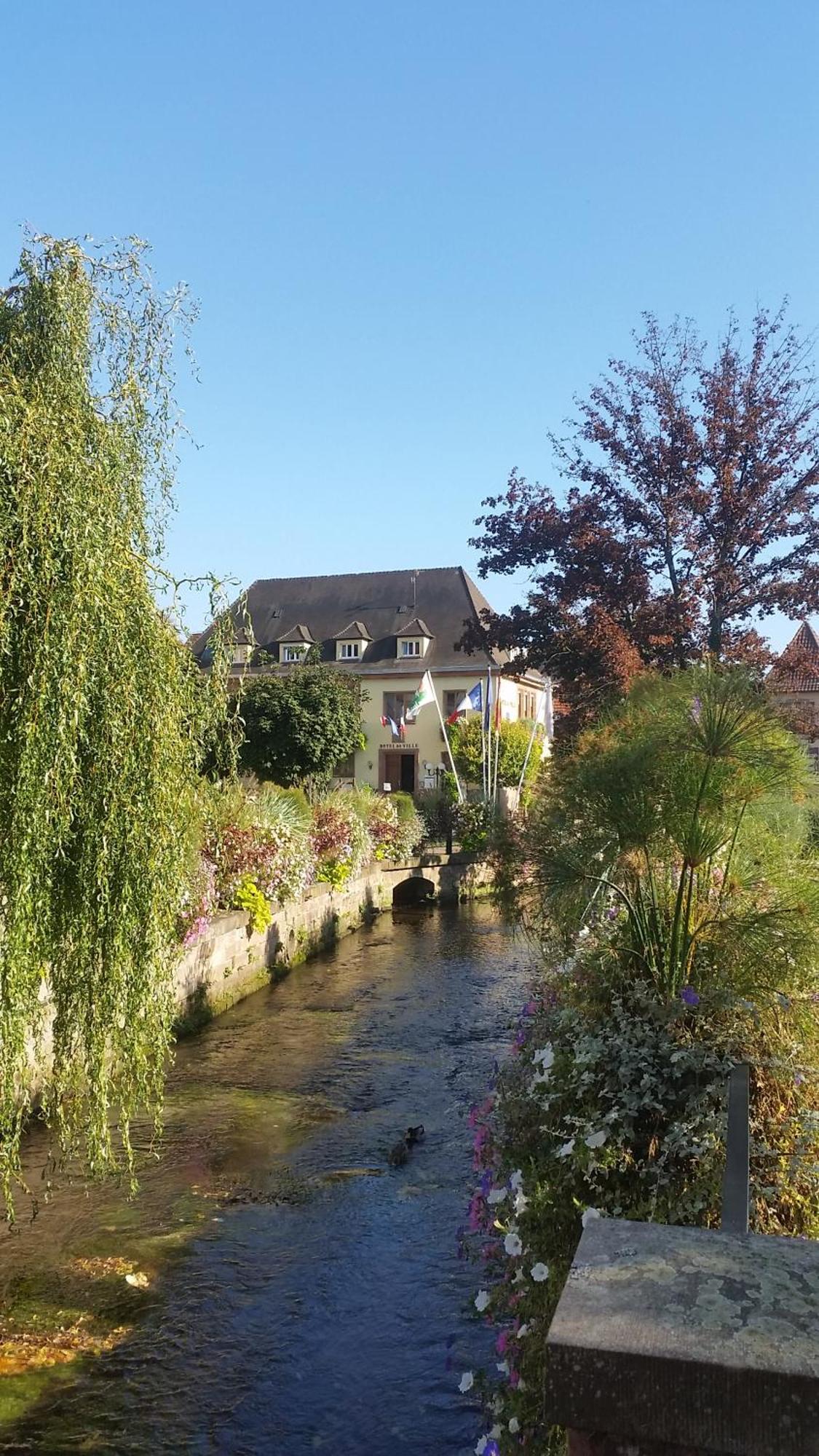 Meublés du 25 N3 Studio 1er Etage Niederbronn-les-Bains Esterno foto