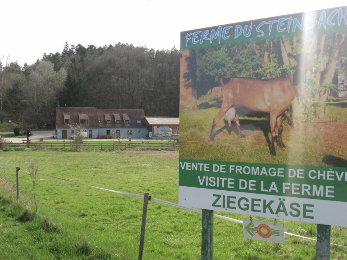 Meublés du 25 N3 Studio 1er Etage Niederbronn-les-Bains Esterno foto